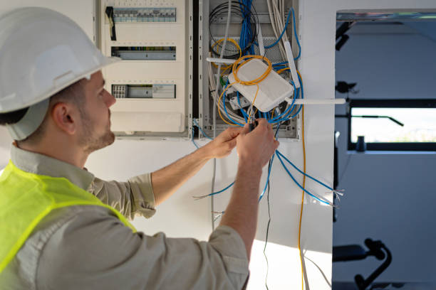 Best Generator Installation Services  in Burt, MI